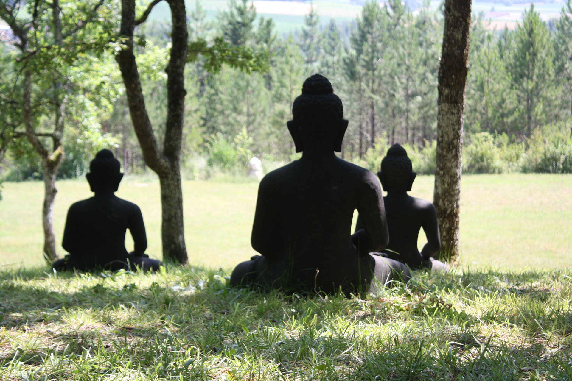 Meditation-pleine-conscience